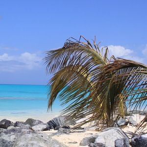 Meet your Posher, Molly